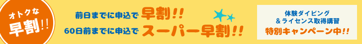 石垣島ダイビング早割割引キャンペーン