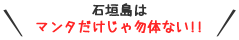 石垣島はマンタだけじゃ勿体ない